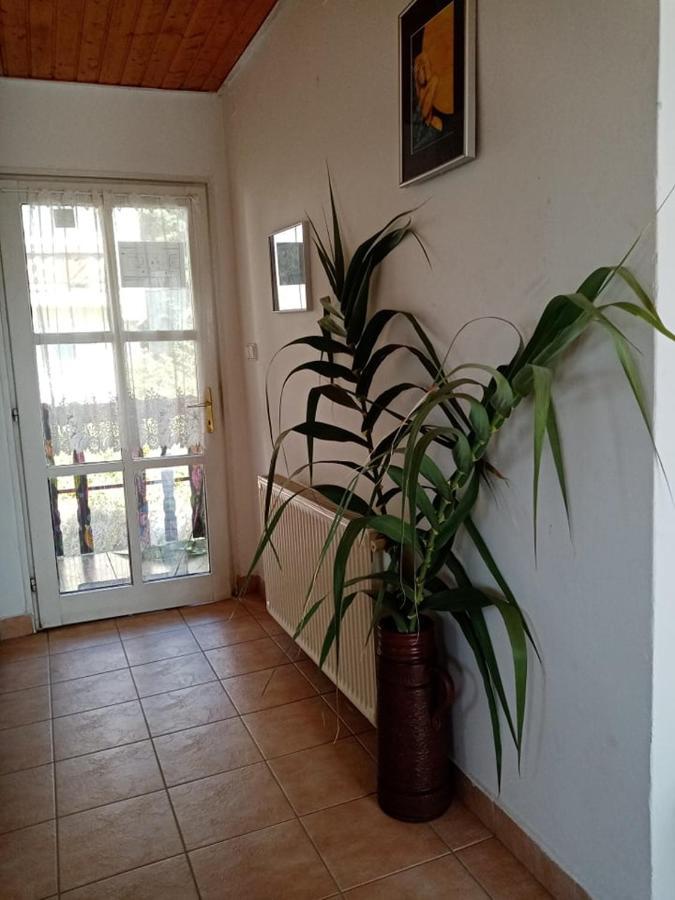 Hotel Kekturas-Tora Nyilo Badacsonyi Privat Berlemeny Badacsonytomaj Zewnętrze zdjęcie