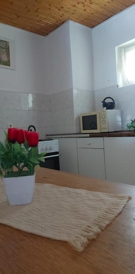 Hotel Kekturas-Tora Nyilo Badacsonyi Privat Berlemeny Badacsonytomaj Zewnętrze zdjęcie